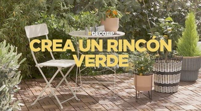 12 árboles perfectos para tu terraza muy resistentes y con maceta