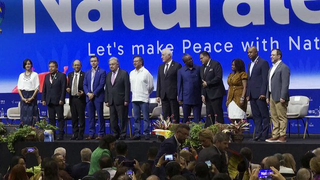 UN-Generalsekretär Guterres verurteilt Krieg gegen die Natur