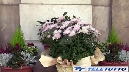 Video News - Santi e defunti tra preghiera e tradizione