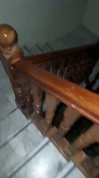 Video: ¡Escuchó ruidos extraños! Salió a ver qué pasaba y se encontró con dos leonas