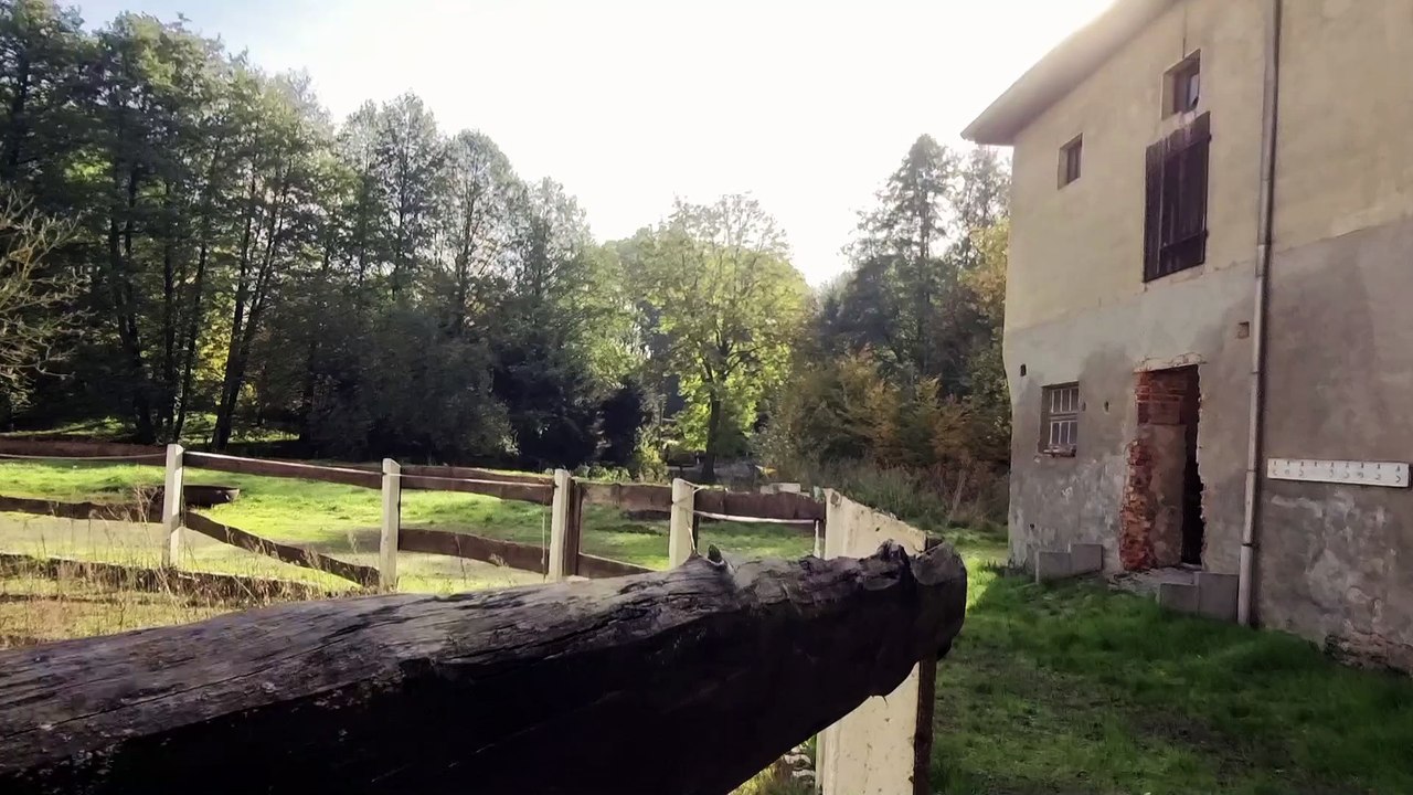 + + HAUPTGEBÄUDE MEUCHA RUNDGANG + +