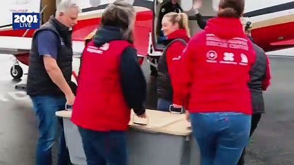 Tortuga Rescatada y Liberada Tras Su Recuperación 🐢