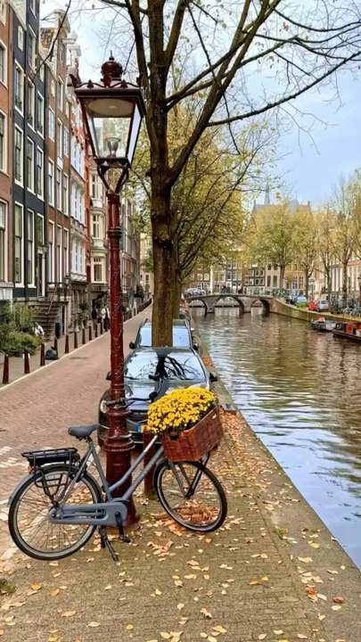 LE PLUS MIGNON quartier d’Amsterdam