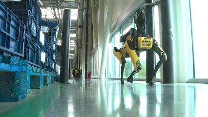 Meet Rover 🐶: The AI Robot Dog Revolutionizing Factory Safety and Efficiency