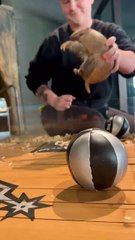 "The Small Animal playing Football Easily Grow Account Follow For More Videos Have Officially Amazing"...!!