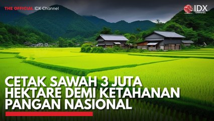 Cetak Sawah 3 Juta Hektare Demi Ketahanan Pangan Nasional