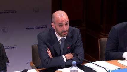 Géorgie : « A travers les ingérences russes, c’est l’idée européenne qui est attaquée »