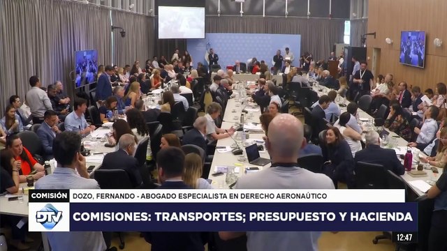 Diputados cruzaron a Dozo, gerente de Iberia y Marsans en la privatización pasada de Aerolíneas Argentinas