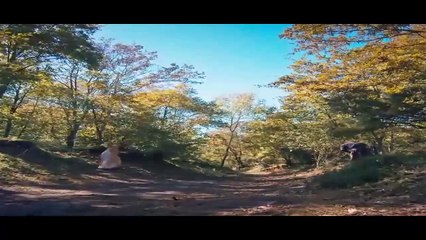 مسلسل المؤسس عثمان الحلقة 168 مترجم