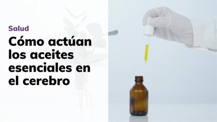 Cómo actúan los aceites esenciales en el cerebro