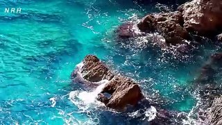 Relaxation video with beautiful water wave and sound.