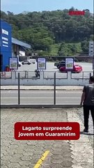 Lagarto reage a pedradas e vídeo viraliza nas redes