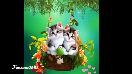 Cute and lovely Cates are singing songs of love sitting in the hanging baskets on the tree.
