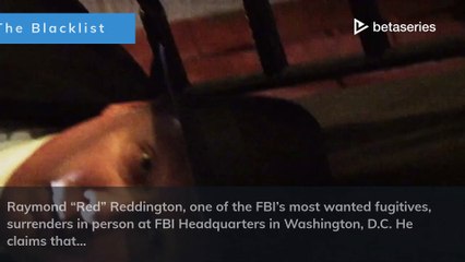 Mister Fitzgerald (EN)