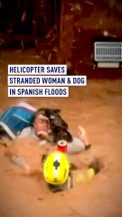 Helicopter to rescue woman and dog stranded by Spanish flood