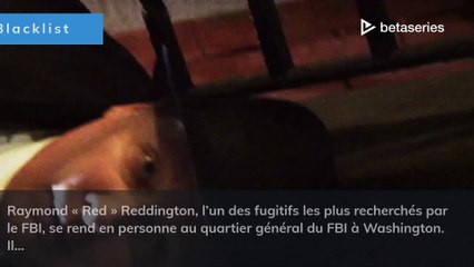 Mister Fitzgerald (FR)