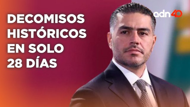 Decomisos históricos de droga y más de 800 detenidos en 28 días con la nueva estrategía de seguridad