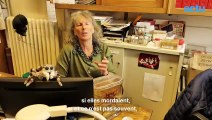 Les araignées sont-elles dangereuses pour l'humain ?