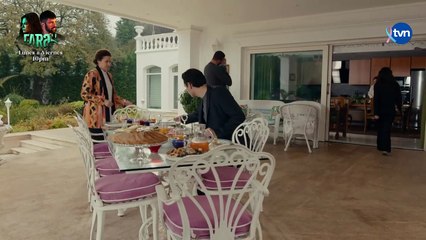 NovelonesTVN: Almas de fuego