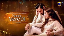 Sunn Mere Dil Episode 08 Teaser - 30th October 2024 - Har Pal Geo(360P)