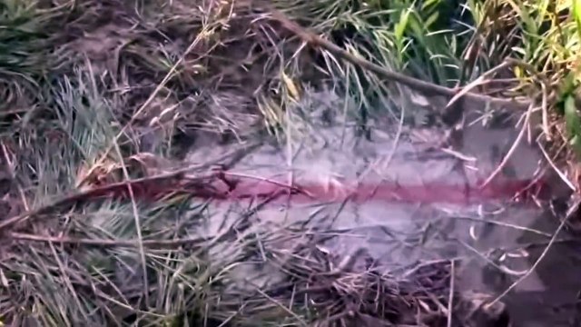 Narin cinayetinde itirafçı Nevzat Bahtiyar'ın görüntüleri ortaya çıktı!