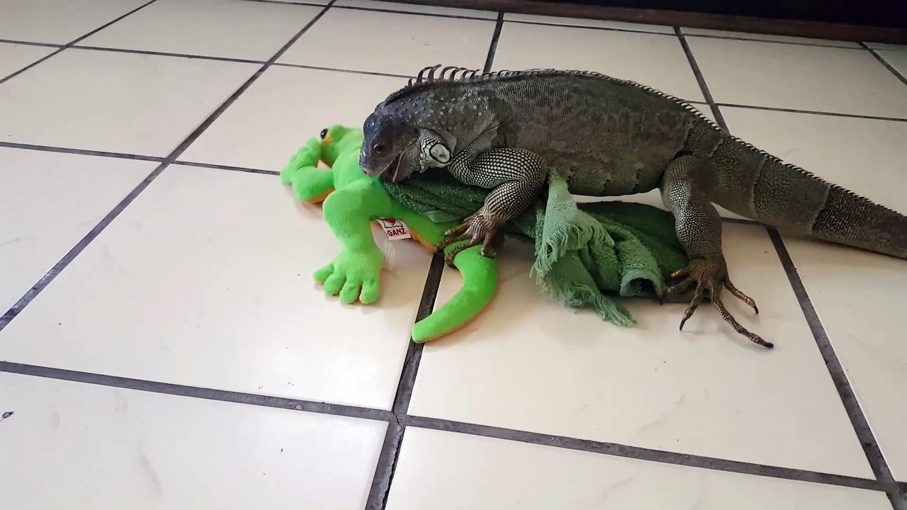 They have to grow up Eventually