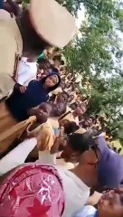 Tougué en manque de professeurs