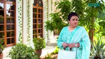 Shehzadi House Episode 23 [ENG CC] Nawal Saeed   Omer Shahzad   30th October 2024   Green TV