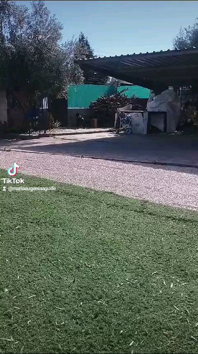 Este es mi vídeo más reciente