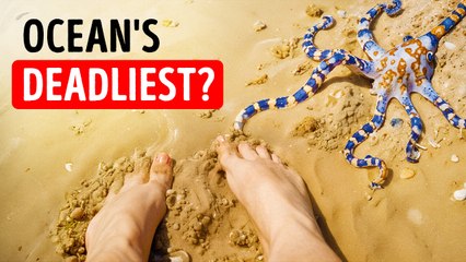 How to Survive: Hidden Dangers You Need to Know About