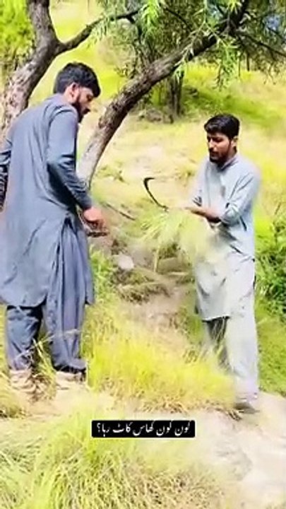 Kashmiri culture