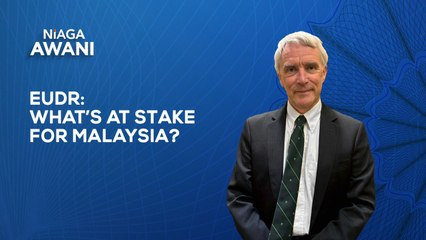 EUDR: What it means for Malaysia’s forests and global sustainability