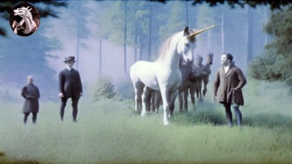 Cavalos Gigantes e Unicórnios