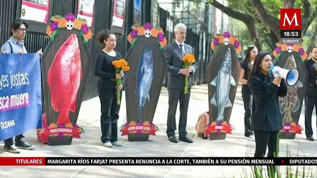 Oceana México protesta frente al Senado para visibilizar el abandono del sector pesquero