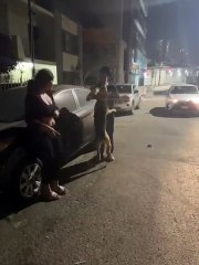 Perrito se reencuentra con sus dueños tras estar perdido un año