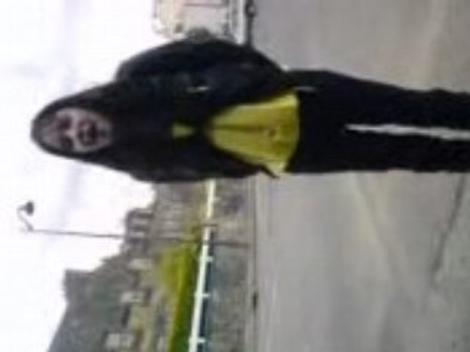 nouvelle star remiixxx^^