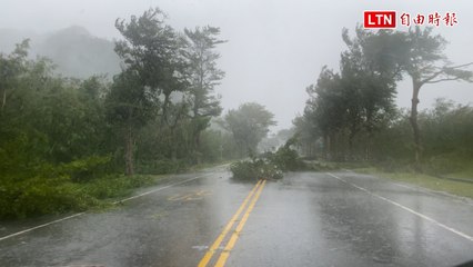 康芮颱風未登陸台東，台11線倒樹與鐵皮空中飛 🚧