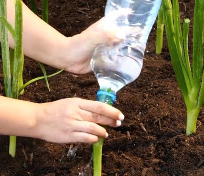 Smart ways to let your garden thrive!