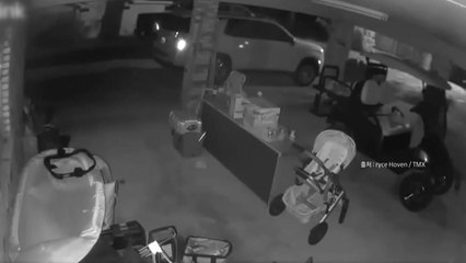 [나우쇼츠] 살금살금 들어와 음식물 쓰레기통 훔쳐간 야생 곰 / YTN