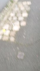 fresque                     de la rue d'Alger     Roubaix