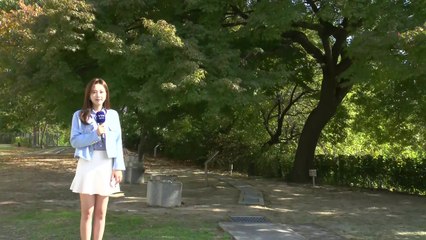 [날씨] 올가을 단풍 지각...이곳이 물들어야 서울 '첫 단풍' / YTN