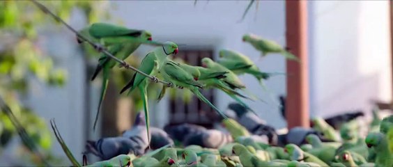 Meiyazhagan (2024) Tamil  part 1