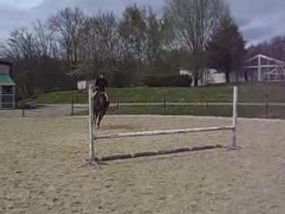 fofy et feli a l'obstacle