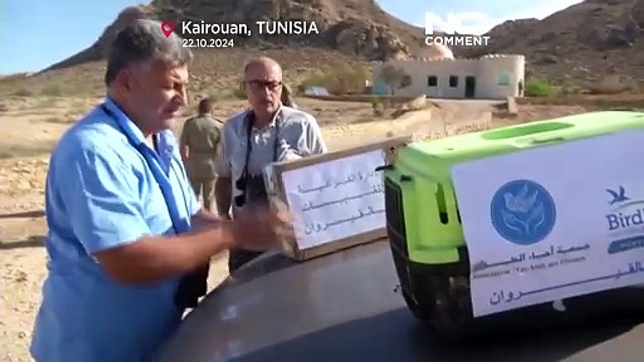 NO COMMENT: Voluntarios liberan dos aves heridas tras ser capturadas ilegalmente en Túnez