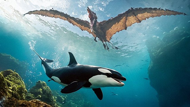 Why Mammals Survived the Asteroid, But Dinosaurs Didn’t