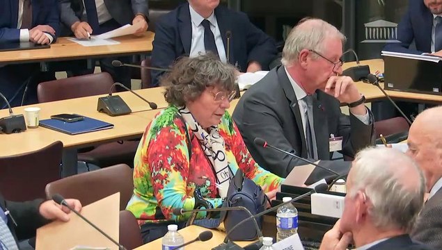 Commission de la défense : Audition d’associations d’anciens combattants, sur le projet de loi de finances 2025 - Mardi 29 octobre 2024