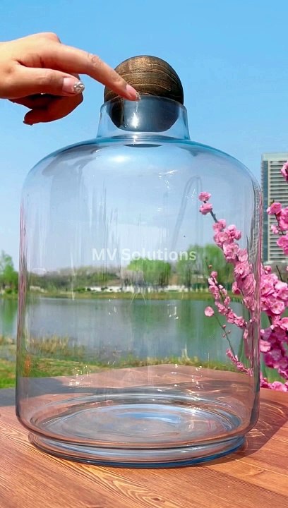 Chinese TikTok-DIY Magic: Create Something Amazing