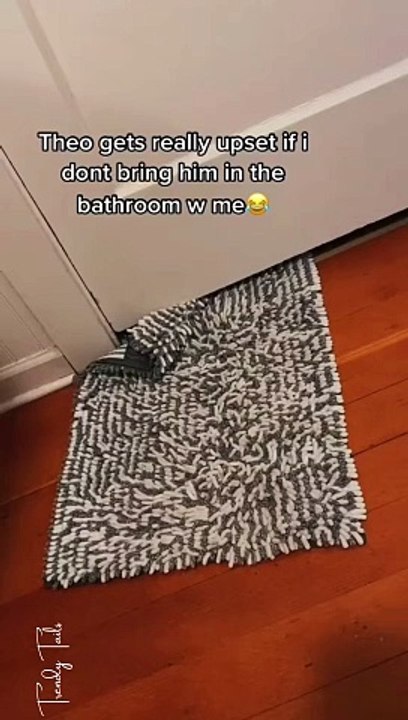 Cute Movement, I Love This Prank