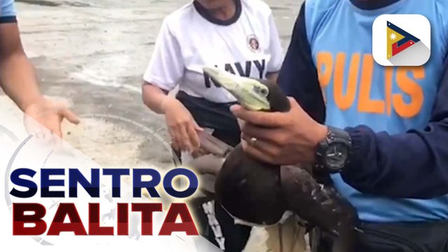 Storm surge, naitala sa 16 na barangay sa Santa Ana, Cagayan; halos 3,000 residente sa probinsya, inilikas