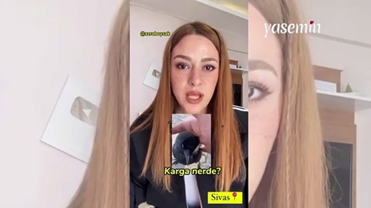 Sevdiği karga başına dert oldu: Karga polemiği karakolluk etti! O video gündem olmuştu